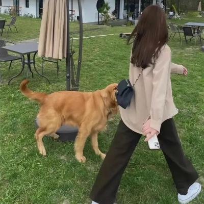 丹麦女孩